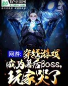 网游：穿越游戏成为幕后Boss，玩家哭了